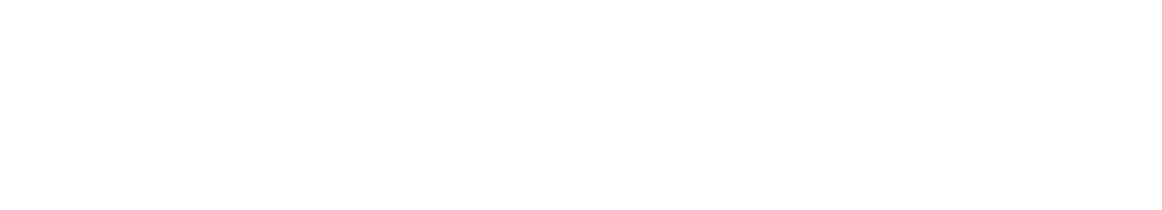 Verint logo